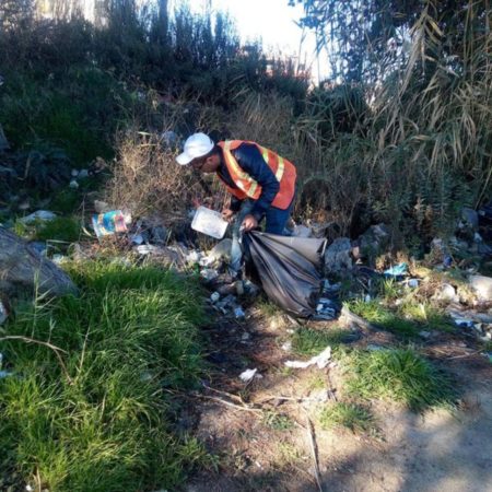 حملات النظافة في مناطق بلدية الكرك